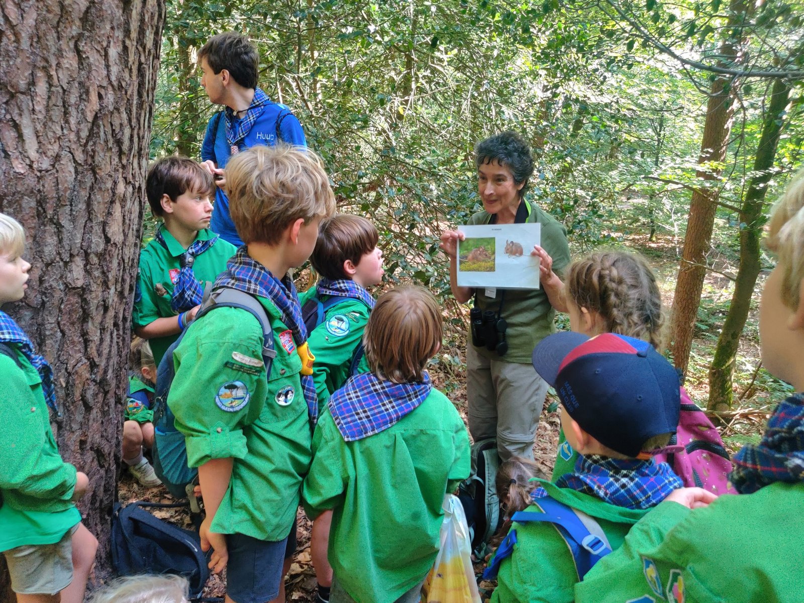 De Welpen bij de rondleiding in het bos met gids Sylvia